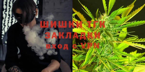 прущие грибы Алексеевка