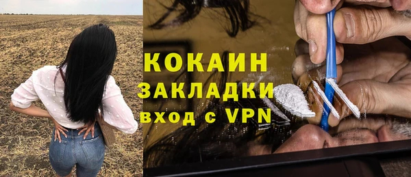 стафф Алзамай