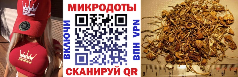 Псилоцибиновые грибы прущие грибы  ссылка на мегу ссылка  Клин 