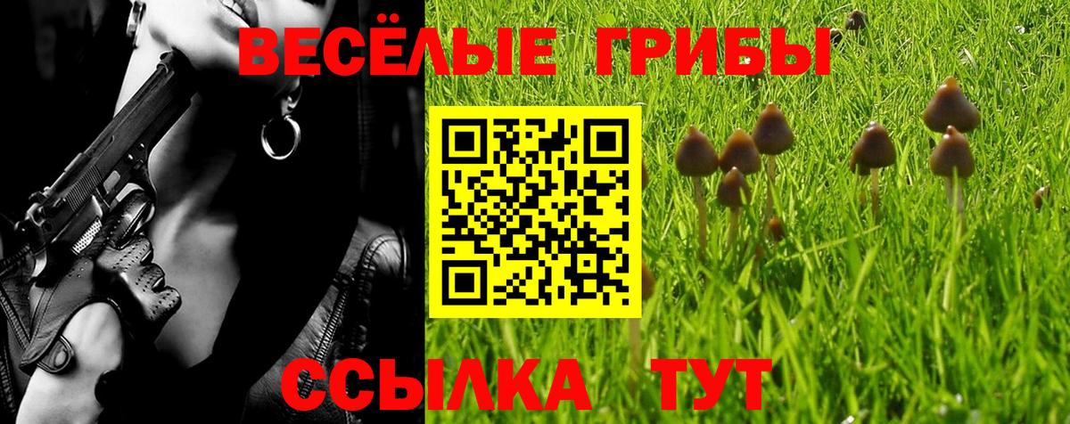 закладка  Вход с VPN  Клин  Псилоцибиновые грибы Cubensis  Галлюциногенные грибы GOLDEN TEACHER 